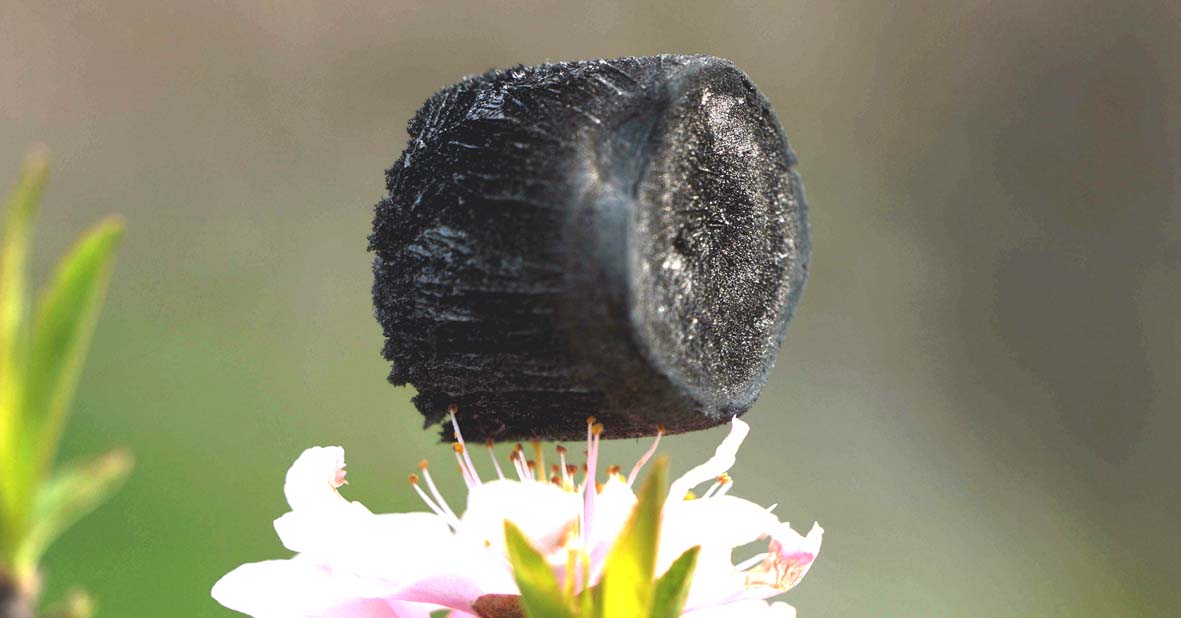 高(gāo)烯